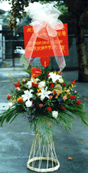 上海鲜花礼仪(3)